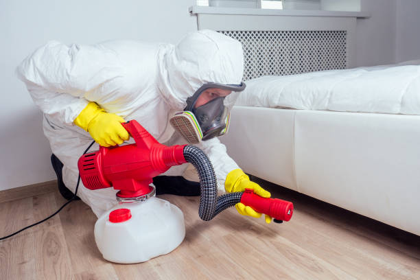 Best Mosquito Control Services  in Daingerfield, TX