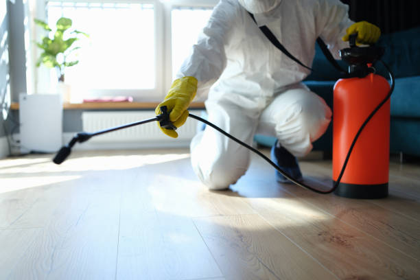 Daingerfield, TX Pest Control Company